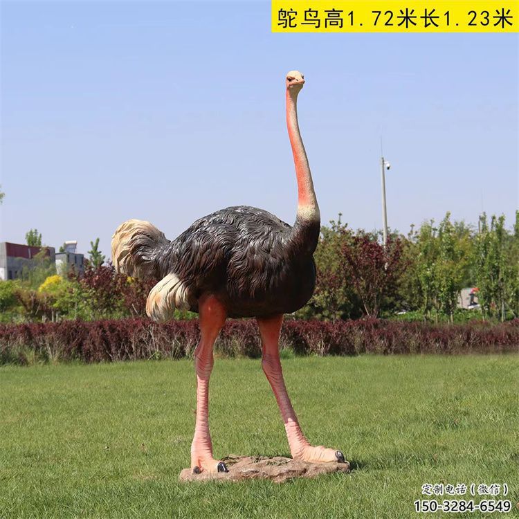 玻璃鋼仿真鴕鳥雕塑廠家,公園廣場(chǎng)動(dòng)物,大型園林小品 玻璃鋼仿真鴕鳥雕塑廠家,公園廣場(chǎng)動(dòng)物,大型園林小品