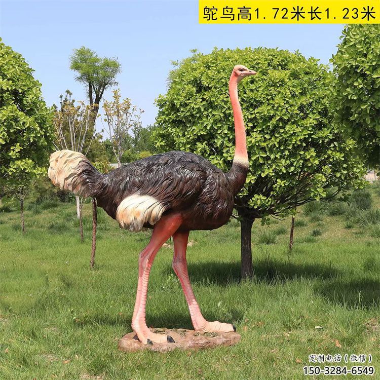 彩繪鴕鳥雕塑廠家，公園廣場動物，大型園林小品